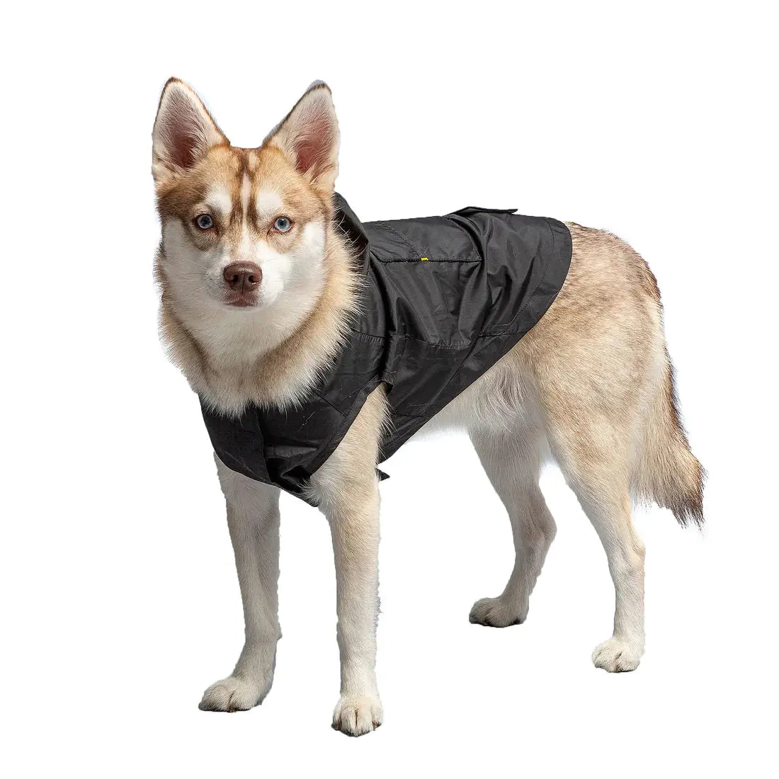 GF PET Army Raincoat available at Adorable Pet Supply. 
