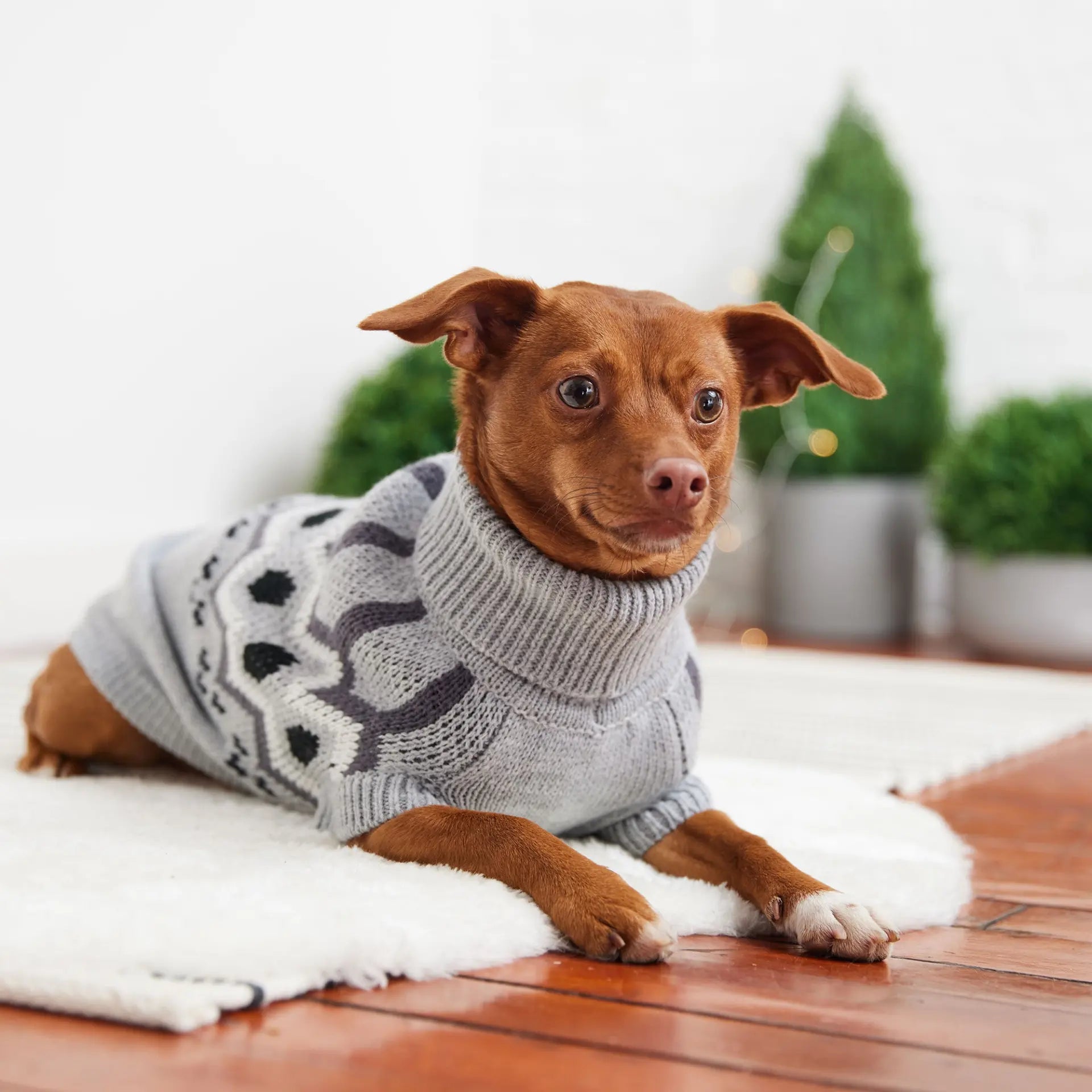 GT PET Heritage Grey Dog Sweater  availability at Adorable Pet Supply.