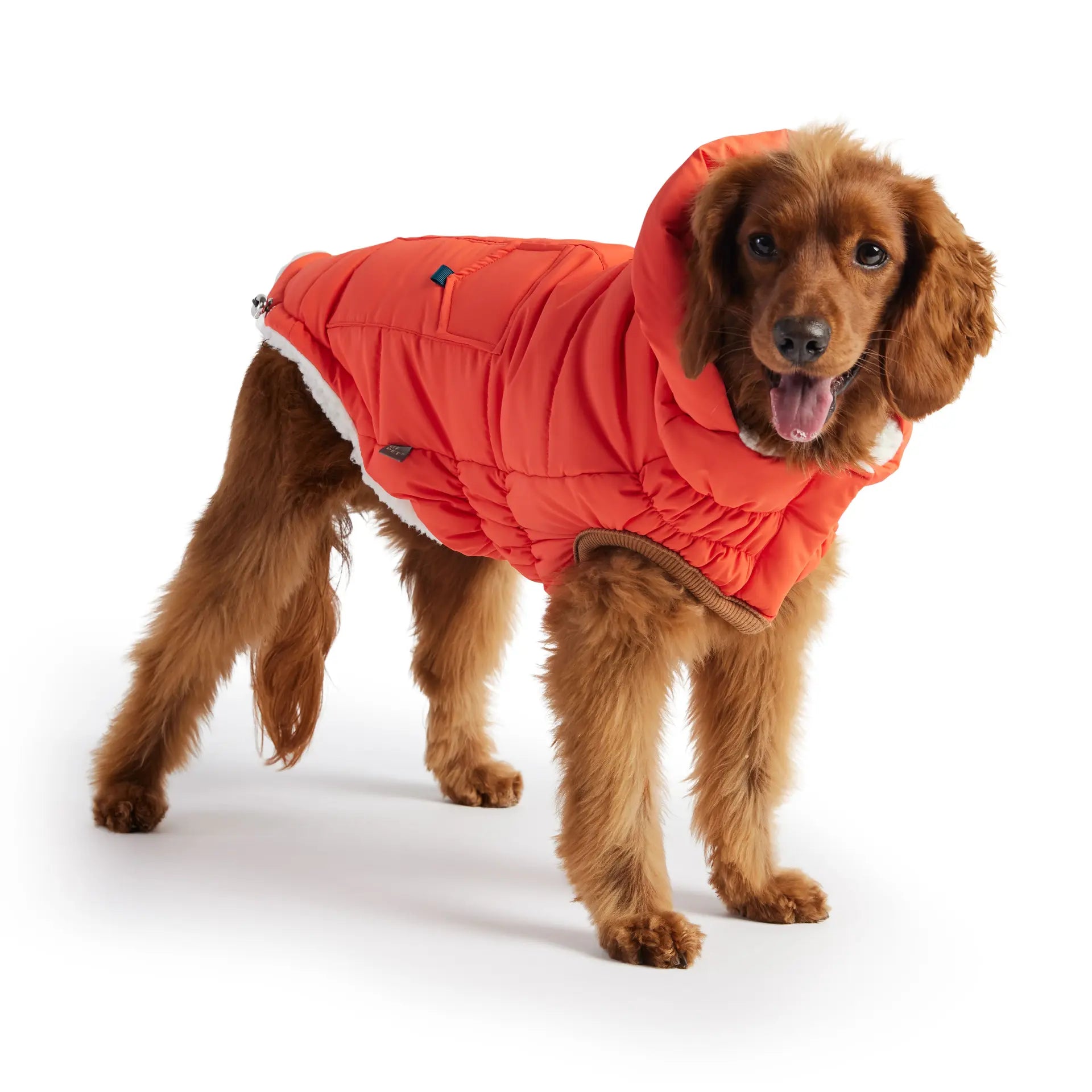GF Pet Puff Parka  available at Adorable Pet Supply. 