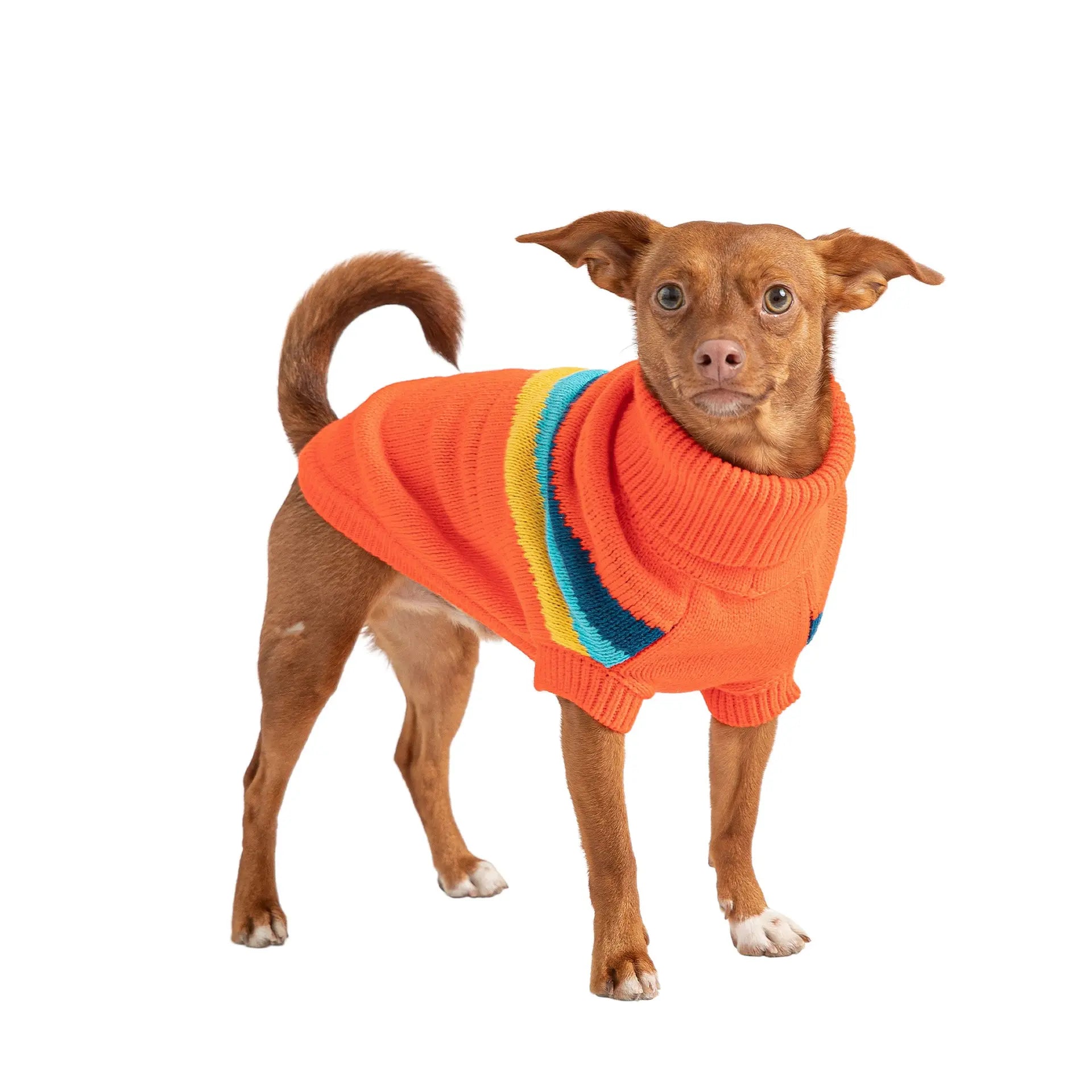 Turtleneck Dog Sweater | Retro Dog Sweater 