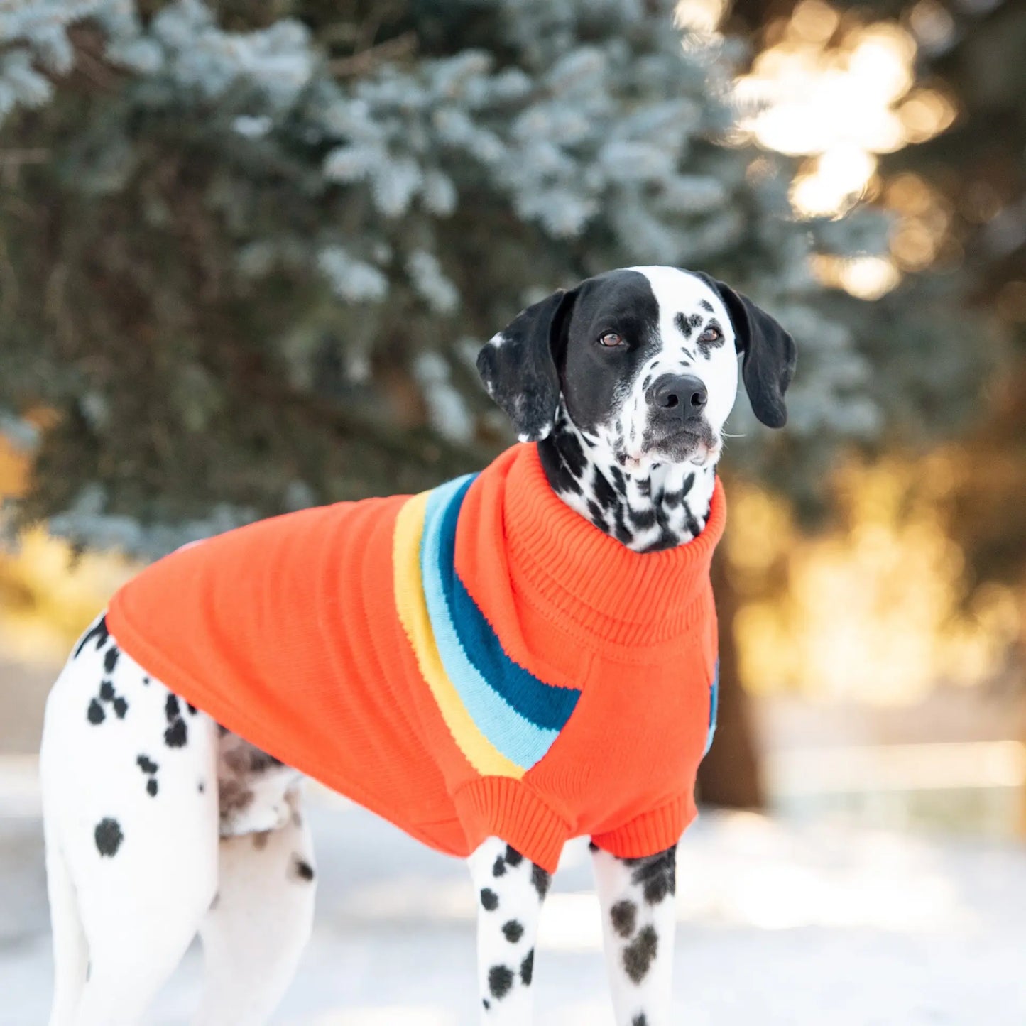 Turtleneck Dog Sweater | Retro Dog Sweater 