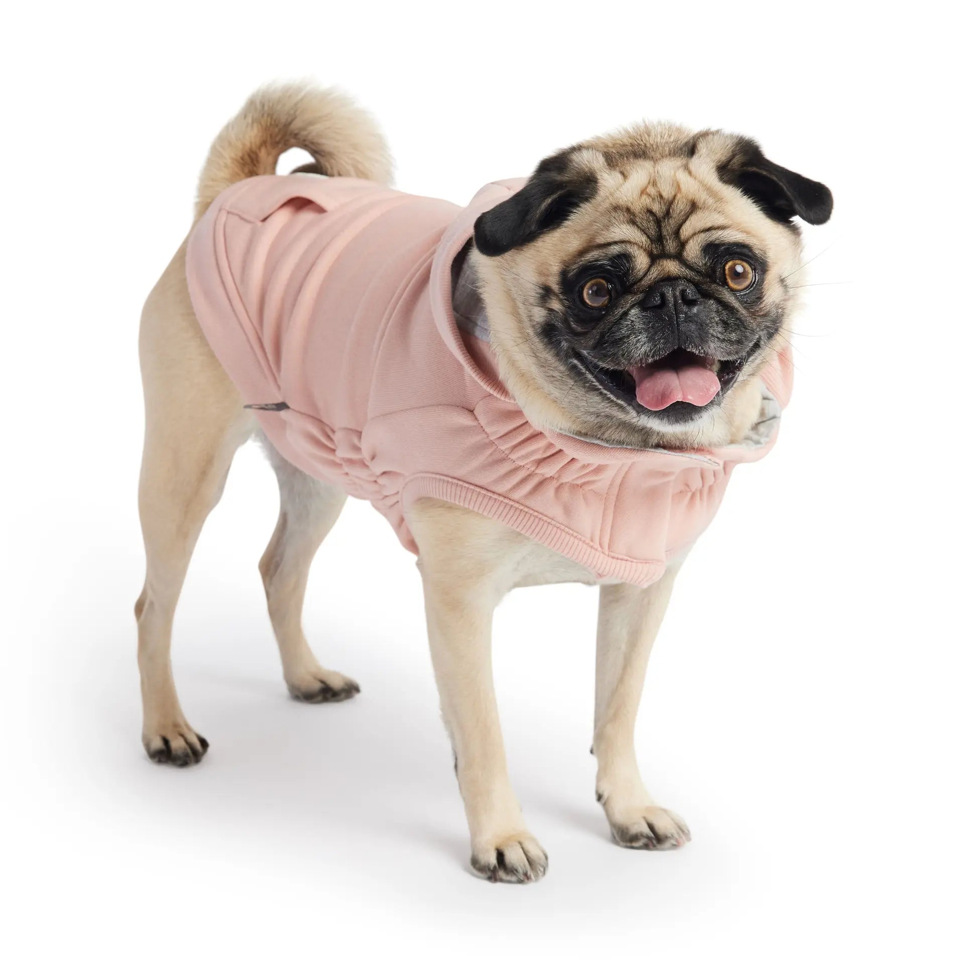 Elasto-Fit Urban Pink Hoodie available at Adorable Pet Supply.