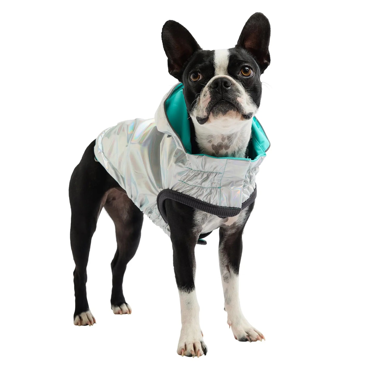 GF Pet Reversible Raincoat - Neon Aqua available at Adorable Pet Supply.