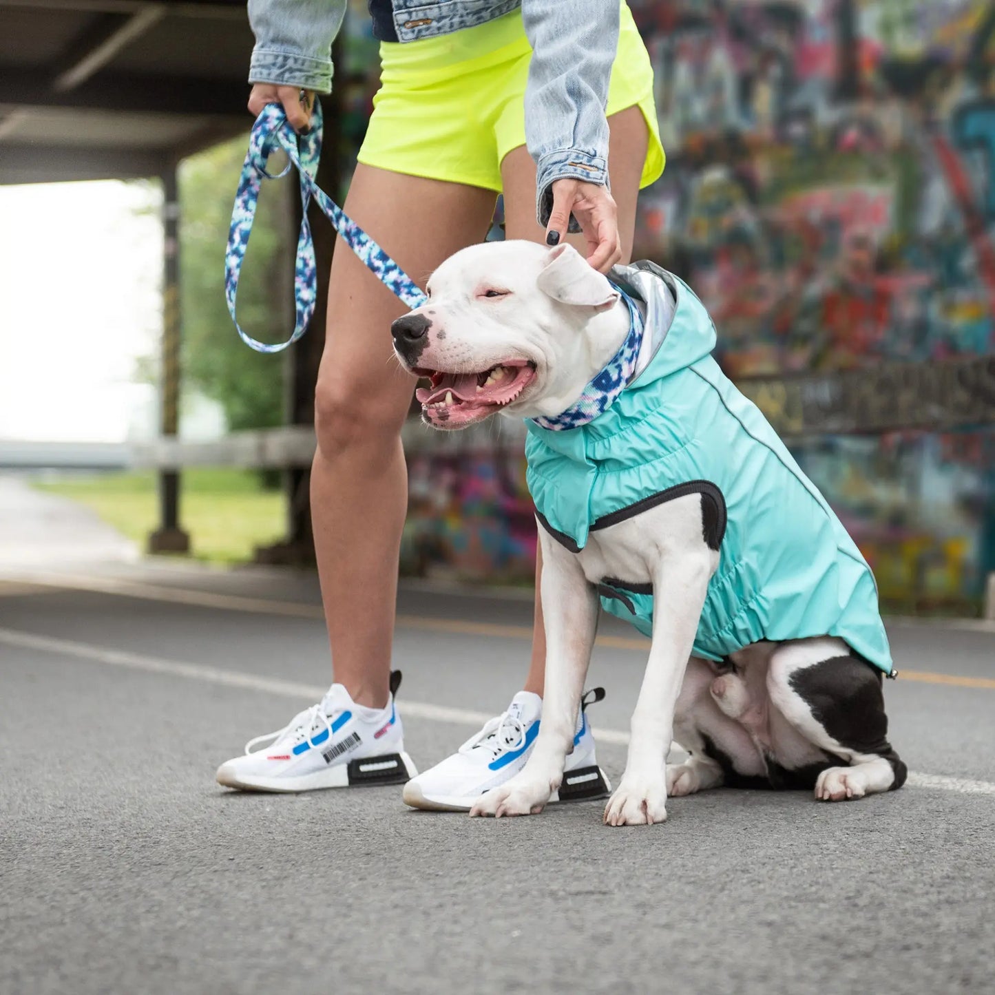 GF Pet Reversible Raincoat - Neon Aqua available at Adorable Pet Supply.