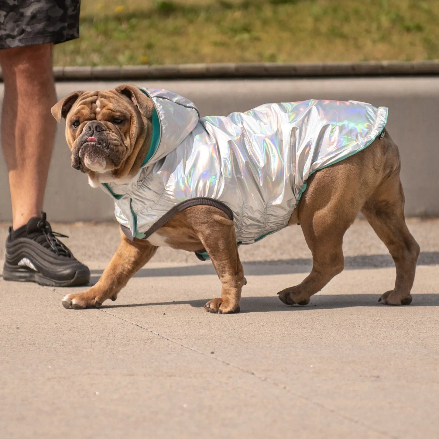 GF Pet Reversible Raincoat - Neon Aqua available at Adorable Pet Supply.