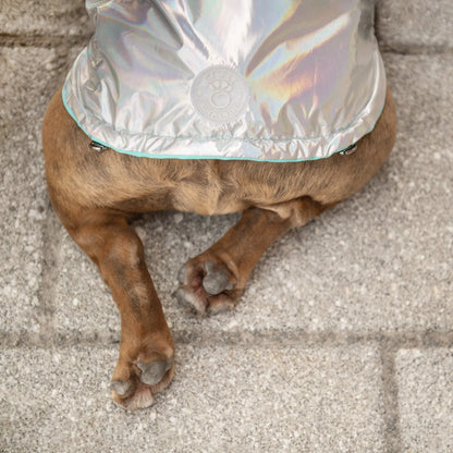 GF Pet Reversible Raincoat - Neon Aqua available at Adorable Pet Supply.