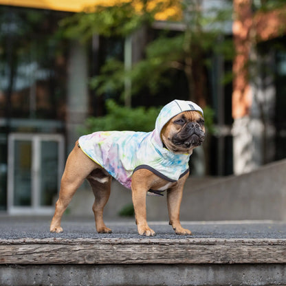 GF Pet Reversible Raincoat - Neon Aqua available at Adorable Pet Supply.