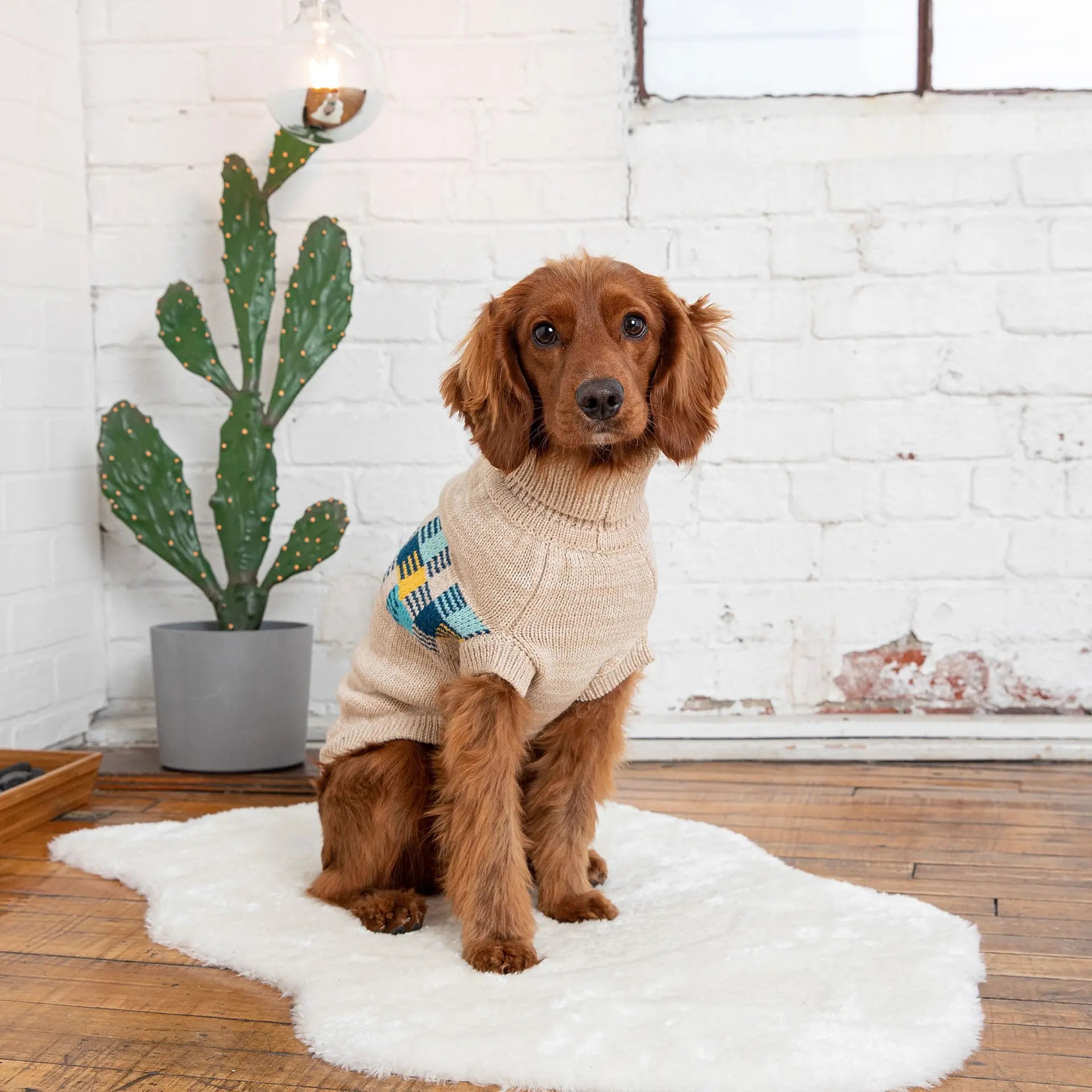Winter Sailor GF PET Sweater is available at Adorable Pet Supply. 