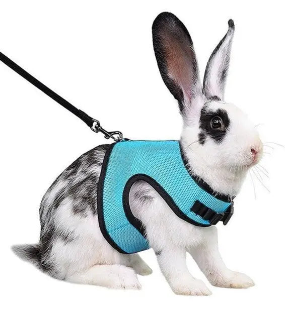 Rabbit Harness & Leash Combo available at Adorable Pet Supply. 